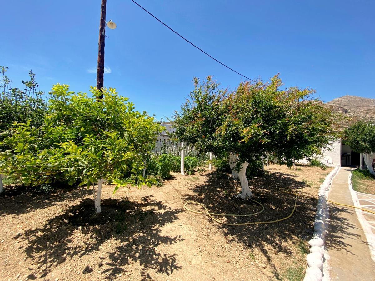 Michail Suites Afiartis Karpathos Exterior foto